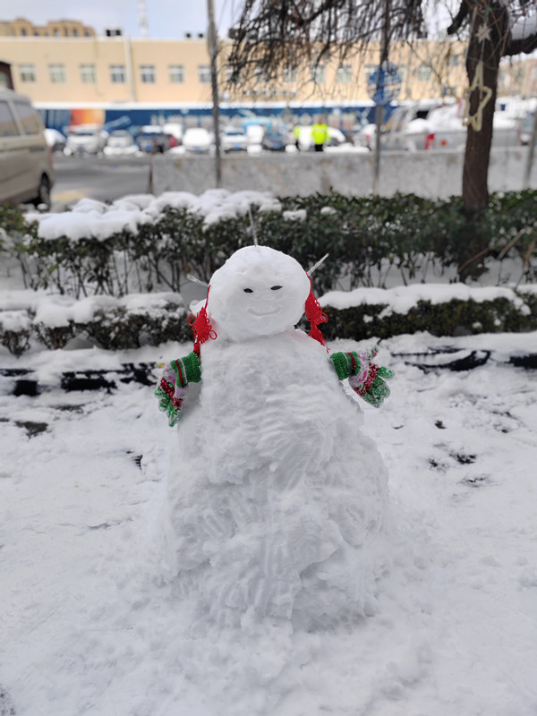 Snow, abbiamo una battaglia a palle di neve.